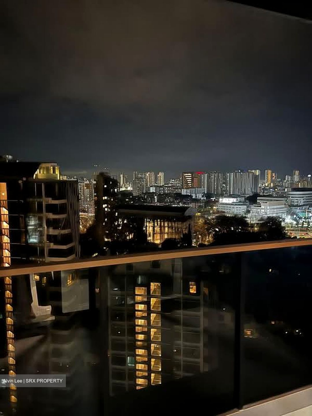 Kopar At Newton (D9), Apartment #578584141